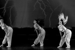 IMG_2036-bis