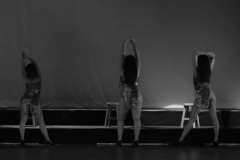 IMG_2294-bis