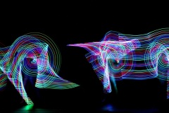 IMG_2328-bis