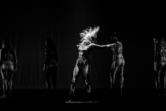IMG_2439-bis
