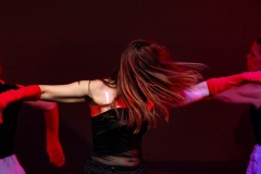 IMG_2551-bis